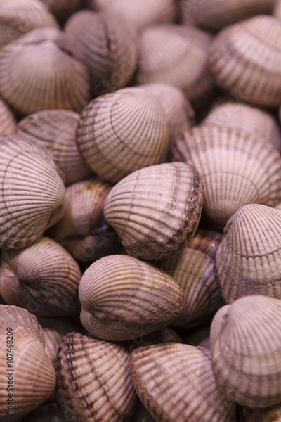 Obraz Muscheln auf dem Markt