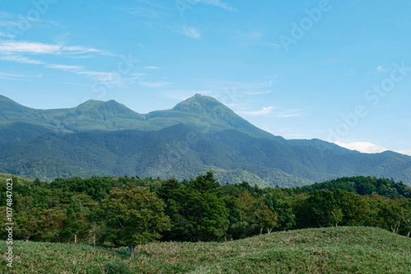 Fototapeta 日本の自然