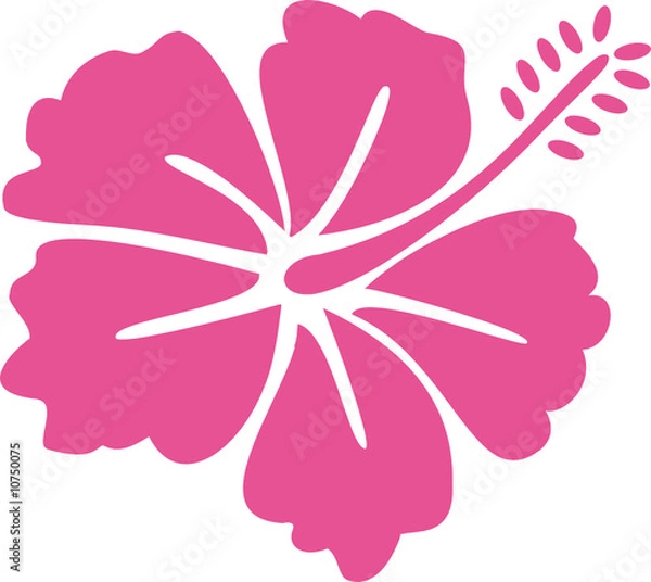 Obraz Hawaii Hibiskus