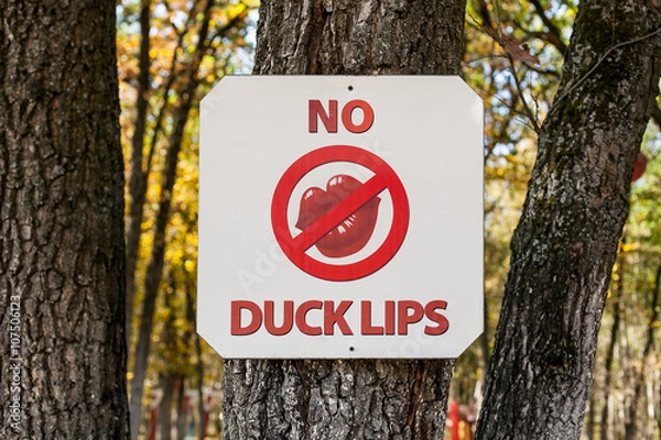 Obraz The plate of No duck lips in autumn park, the sign