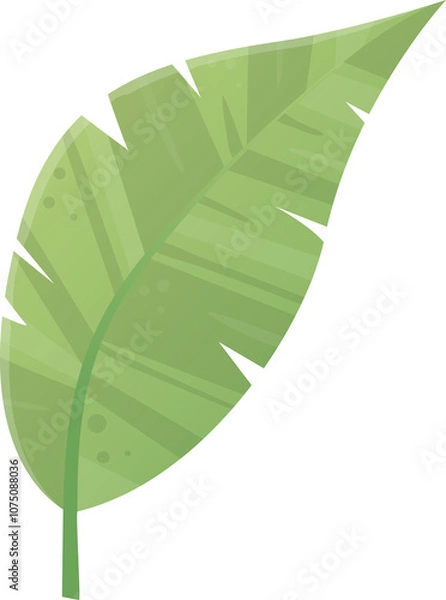 Obraz Isolated green surfboard on transparent background, perfect for surfing, summer sports, and beach activities, invoking a feeling of freedom and excitement