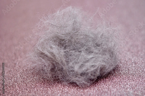 Fototapeta cat hair on a pink shiny background