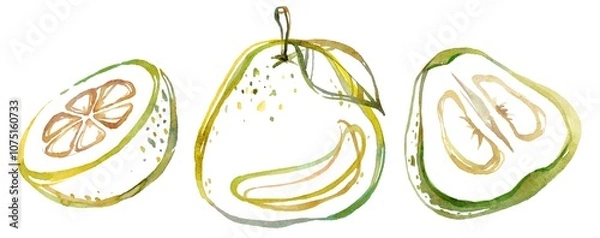 Fototapeta Handcrafted watercolor collection of pomelos, featuring whole fruits and detailed cross-sections. Perfect for food art, culinary projects, and tropical-themed decor
