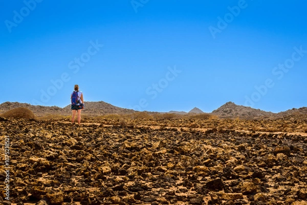 Obraz A tourist on Lobos Island on a sunny day