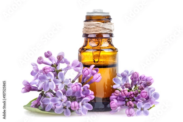 Obraz Essential oil made from lilac on a white background