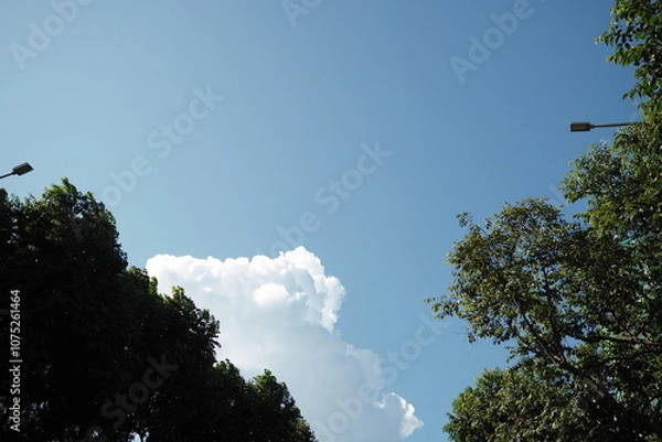 Obraz OLYMPUS DIGITAL CAMERA