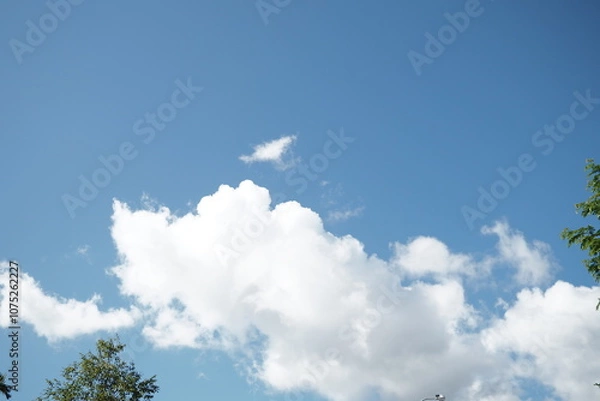 Obraz OLYMPUS DIGITAL CAMERA