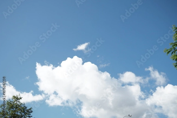 Obraz OLYMPUS DIGITAL CAMERA