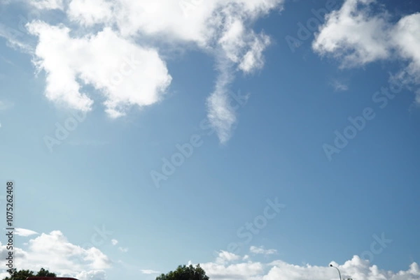 Obraz OLYMPUS DIGITAL CAMERA