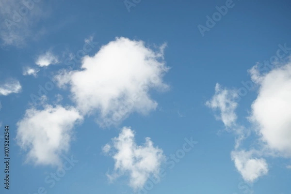 Obraz OLYMPUS DIGITAL CAMERA