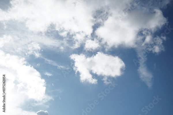 Obraz OLYMPUS DIGITAL CAMERA