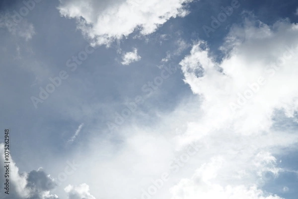 Fototapeta OLYMPUS DIGITAL CAMERA