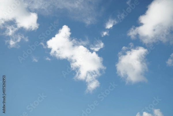 Obraz OLYMPUS DIGITAL CAMERA