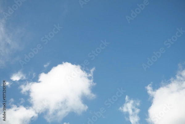 Obraz OLYMPUS DIGITAL CAMERA