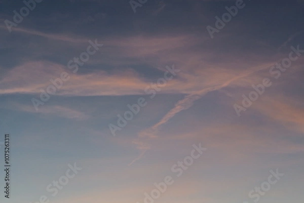 Obraz OLYMPUS DIGITAL CAMERA