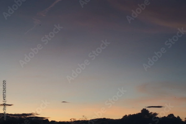 Obraz OLYMPUS DIGITAL CAMERA