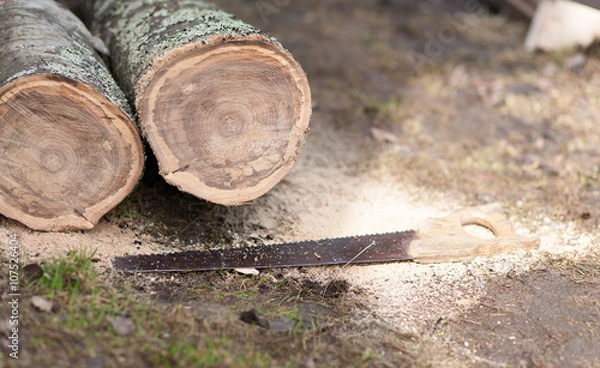 Obraz Распил бревен пилой