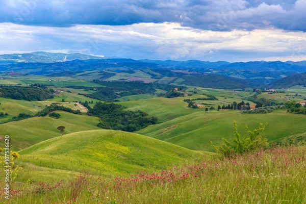 Obraz Tuscan landscape, fields and meadows near Volterra