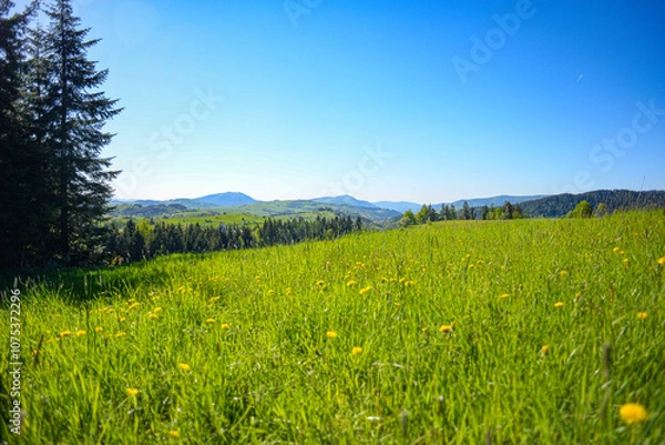 Fototapeta Mountains in spring