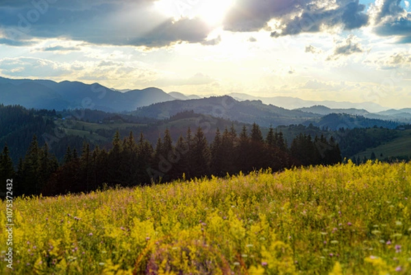 Fototapeta Mountains in spring