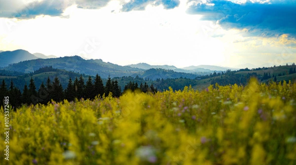 Fototapeta Mountains in spring