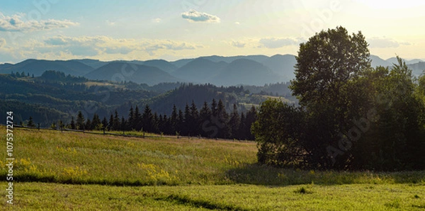 Fototapeta Mountains in spring