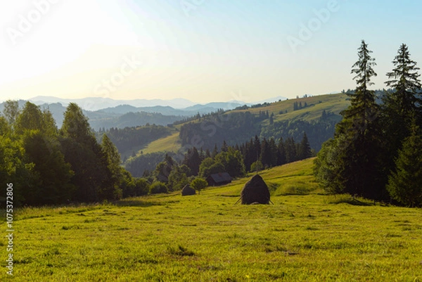 Fototapeta Mountains in spring