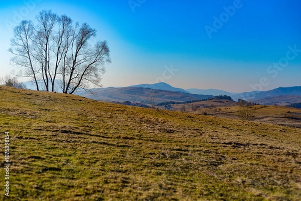 Fototapeta Mountains in spring