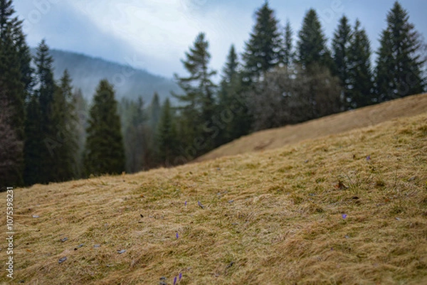 Fototapeta Mountains in spring