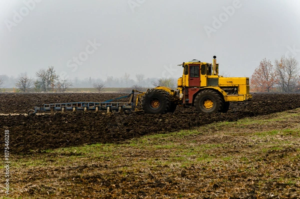 Fototapeta The tractor plows the land in autumn, for sowing. Image of agriculture