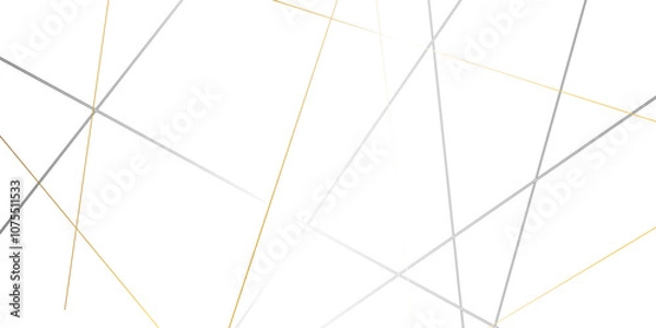 Fototapeta Gradient silver black random chaotic lines on transparent background