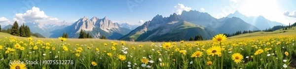 Obraz 360 degree photo, Mountain Meadow in Bloom, A 360-degree image
