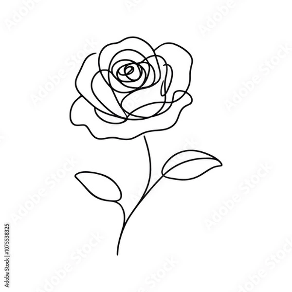 Fototapeta Roses, continuous one line sketch. Line art flower. Hand drawn vector art