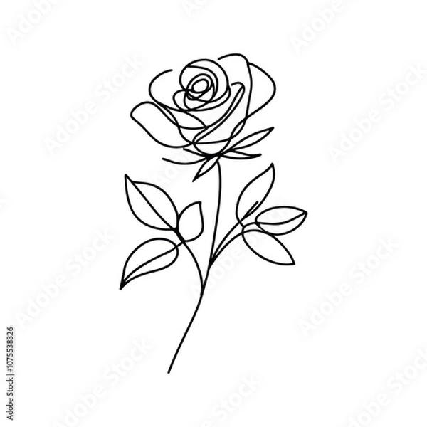 Fototapeta Roses, continuous one line sketch. Line art flower. Hand drawn vector art