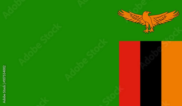 Obraz Zambia Flag