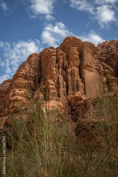 Fototapeta Below View of Sandstone Rock Formation with Green Plant Foreground in Wadi Rum. Vertical Stony Cliff in Southern Jordan.