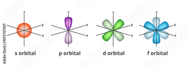 Fototapeta Vector chemical illustration of atomic orbitals –  s,p,d, f types isolated on a white background. Probability of places surrounding the nucleus of an atom where electrons can be found. Wave function.