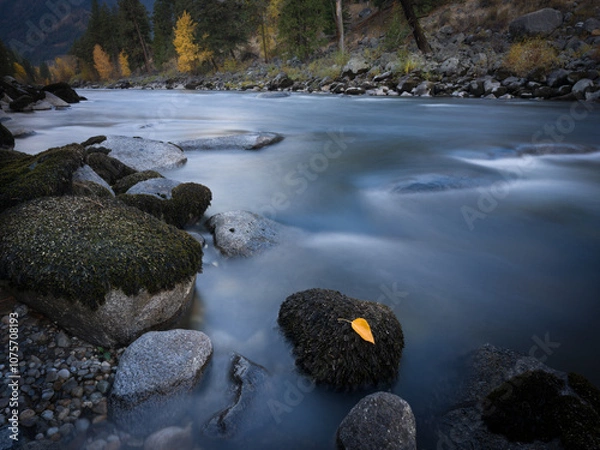 Fototapeta stream in the mountains