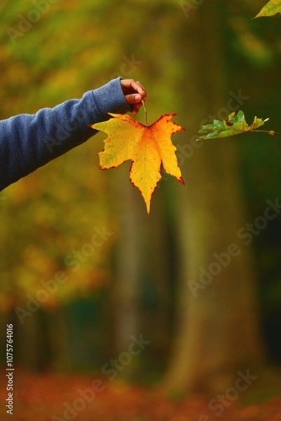 Obraz L'automne dans la main