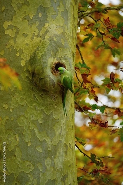 Obraz Pere de famille