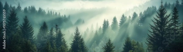 Fototapeta A serene forest shrouded in mist, with beams of light filtering through the trees, creating a tranquil and ethereal atmosphere.
