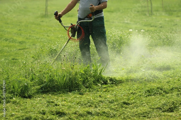 Obraz Man trimming the grass