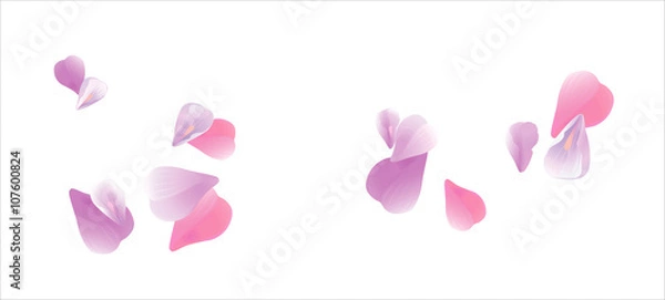 Obraz Pink flying petals isolated on white. Sakura petals. Vector