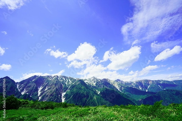 Fototapeta 夏の白馬、八方尾根でトレッキング34