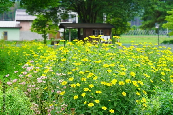 Obraz ちひろ美術館の庭