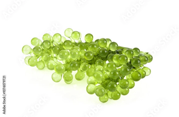 Obraz Umi-budou, grapes seaweed or green caviar isolated on white background