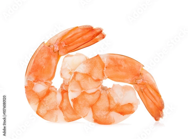 Obraz shrimps isolated on a white background