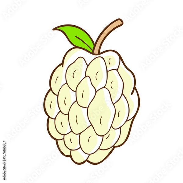 Fototapeta custard apple icon, fruits vector icon - simple vector illustration of a custard apple, in a simple and clean style, suitable for food and health themes. fruits flat illustration.