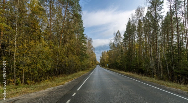 Fototapeta A road with trees on both sides and a clear blue sky