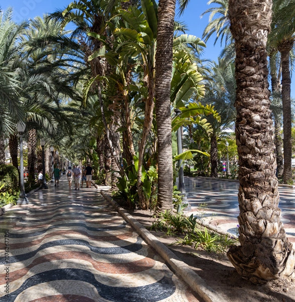 Obraz walk among the trees